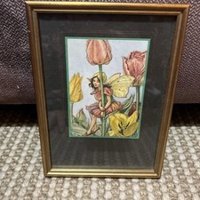 Tulip fairy cicely for sale  SHERBORNE