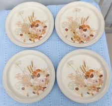 Poole plates summer for sale  DONCASTER