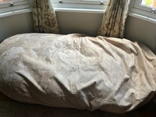 Giant adult bean for sale  BARNET
