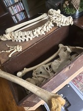 Antique part teaching for sale  SOUTHAMPTON