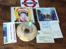 Pani crew voice usato  Crema