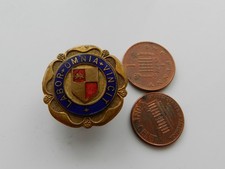Vintage enamel lapel for sale  BRIDGWATER