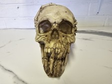 Breaking skull skeleton for sale  HULL