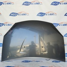 Cofano anteriore grigio usato  Acerra