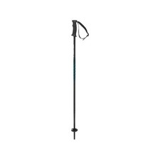 Batons ski supershape d'occasion  Besançon