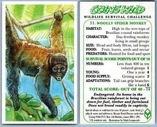 Woolly spider monkey for sale  SLEAFORD