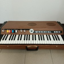 Organo elettrico tiger usato  Arezzo