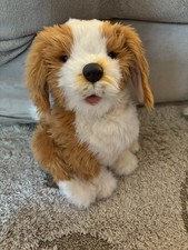 Joy dog freckles for sale  Wausau