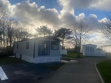 Star gold cornwall for sale  TRURO