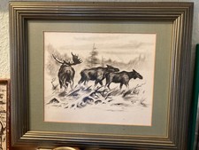 Jagd jäger bild gebraucht kaufen Jagd jäger bild gebraucht kaufen  Sternberg