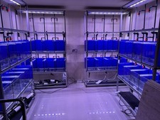 Aquarium rack system for sale  SAFFRON WALDEN