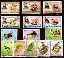 Ajman oiseaux birds d'occasion  Venelles