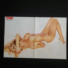 Fhm erotische beilage gebraucht kaufen  Hohen Neuendorf