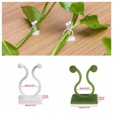 100pcs home plant for sale  HATFIELD