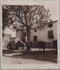 Espagne baza ânes d'occasion  Pagny-sur-Moselle