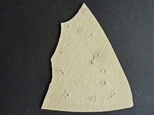 F1704 jura saccocoma gebraucht kaufen  Röttenbach b Erlangen
