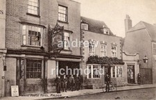 Maldon white horse for sale  ABERYSTWYTH
