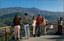 Skylift gatlinburg tennessee for sale  Clearwater
