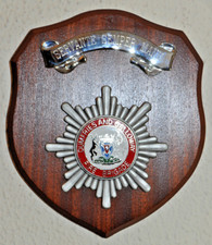 Dumfries galloway fire for sale  WISBECH
