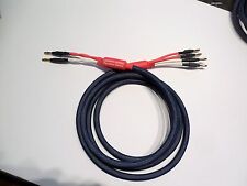 Legend audio 6ft. for sale  Sebring