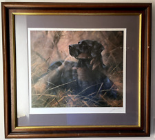 Black labrador john for sale  ASHTON-UNDER-LYNE