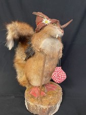 Wolpertinger tier präparat gebraucht kaufen  München