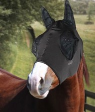 Maschera per cavalli usato  Carate Brianza