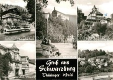 Schwarzburg thueringer wald gebraucht kaufen  Deutschland