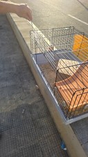 Gabbia roditori casita usato  Bari