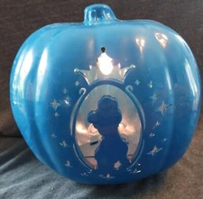 Cinderella blue pumpkin for sale  Badger