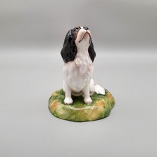 Royal stratford dog for sale  BRIDGEND