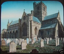 carlisle magic for sale carlisle magic for sale HAYLE