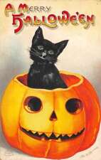 Cartão postal Halloween Greetings gato preto em Jack O lanterna clapsaddle AA95908 comprar usado  Enviando para Brazil