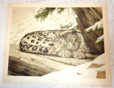 Guy coheleach print for sale  Milton