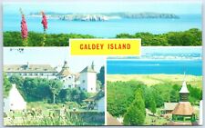 Postcard caldey island for sale  TEWKESBURY