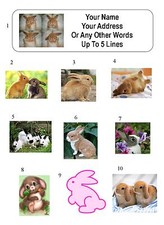 Bunny rabbit personalized for sale  USA