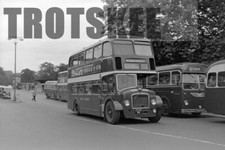 Large negative york for sale  HIGH WYCOMBE
