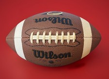 junior wilson football for sale junior wilson football for sale Painesville