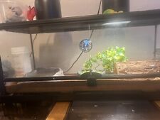 Reptile gallon tank for sale  Poland