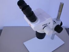 Microscopio zoom stereo usato  Italia