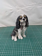 Leonardo collection cavalier for sale Leonardo collection cavalier for sale  HEREFORD