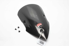 Windschild carbon racing gebraucht kaufen  Trebbin