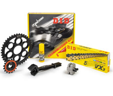 Kit trasmissione did usato  Italia