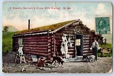 Shafer minnesota postcard for sale  Terre Haute