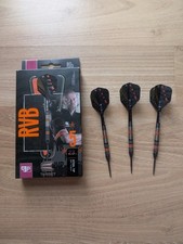 Raymond van barneveld gebraucht kaufen  Delligsen