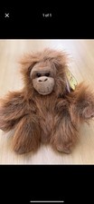 Aurora orangutan teddy for sale  CHESTERFIELD
