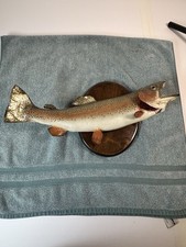 Vintage rainbow trout for sale  Dallas