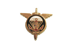 Ancien pins regiment d'occasion  Saint-Mamert-du-Gard