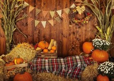 Aiikes 6x4ft fall for sale  Panorama City