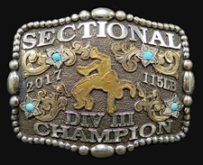 Sectional division champion for sale  Mayfield